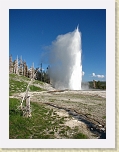 Wyoming2008 571 * The Grand Geyser erupting * The Grand Geyser erupting * 2112 x 2816 * (3.39MB)